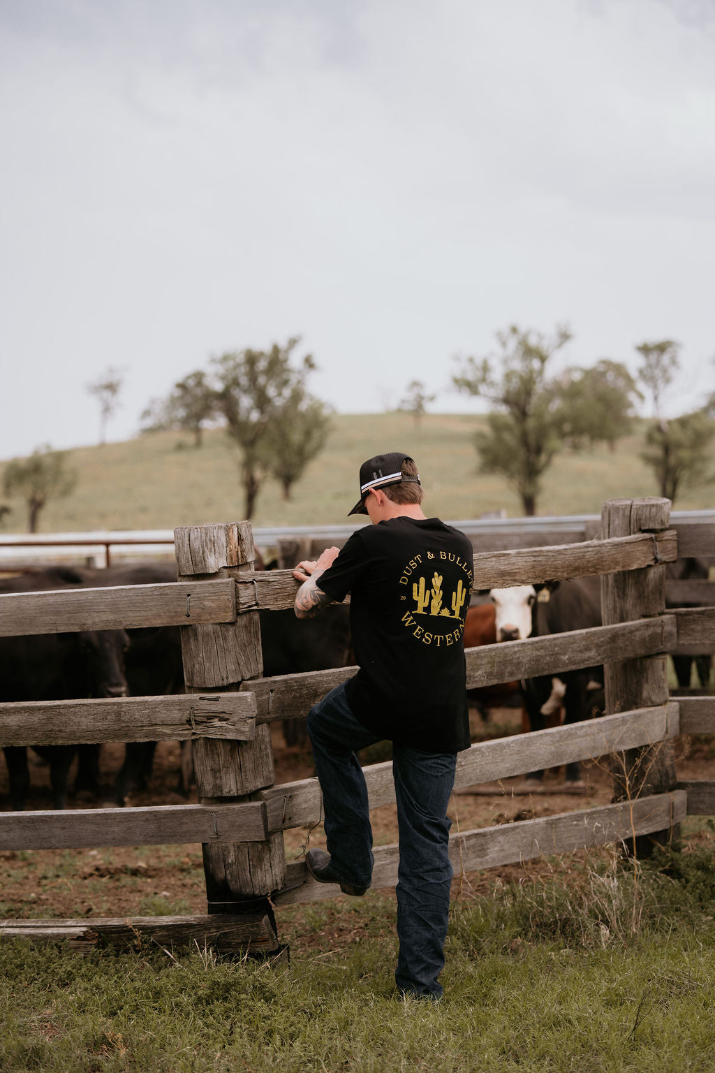 Classic DBW Gold Print - Western Wear Shirts